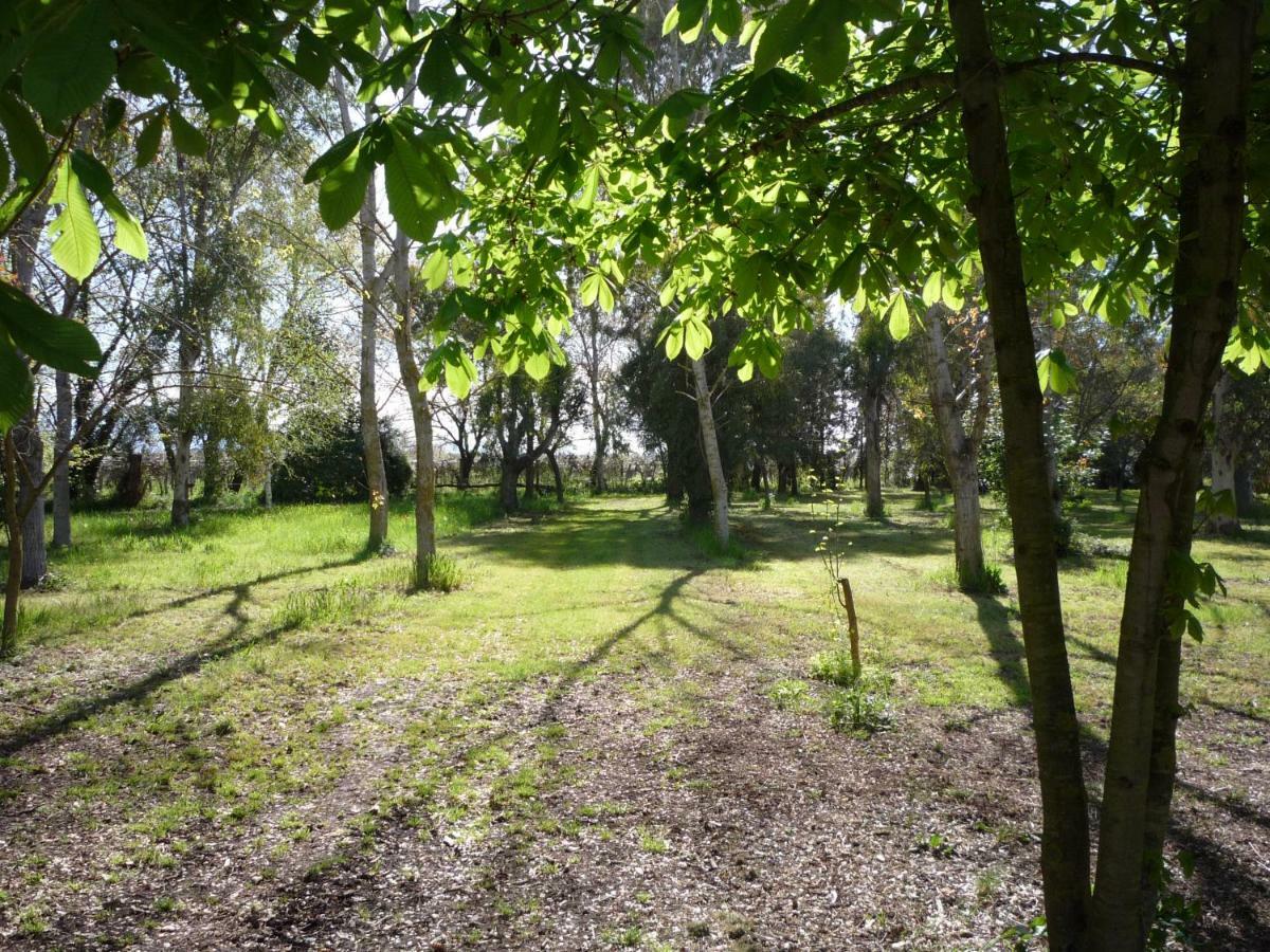 Agriturismo La Giannottola Aprilia Exteriér fotografie