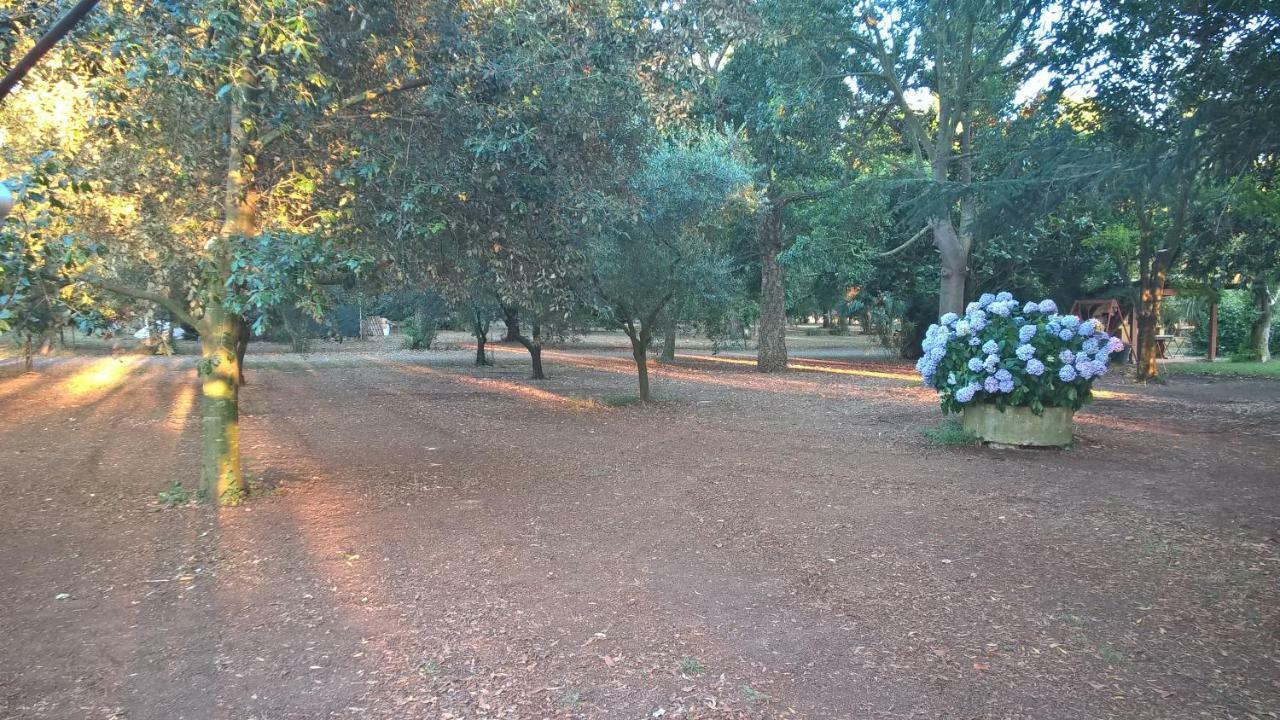 Agriturismo La Giannottola Aprilia Exteriér fotografie